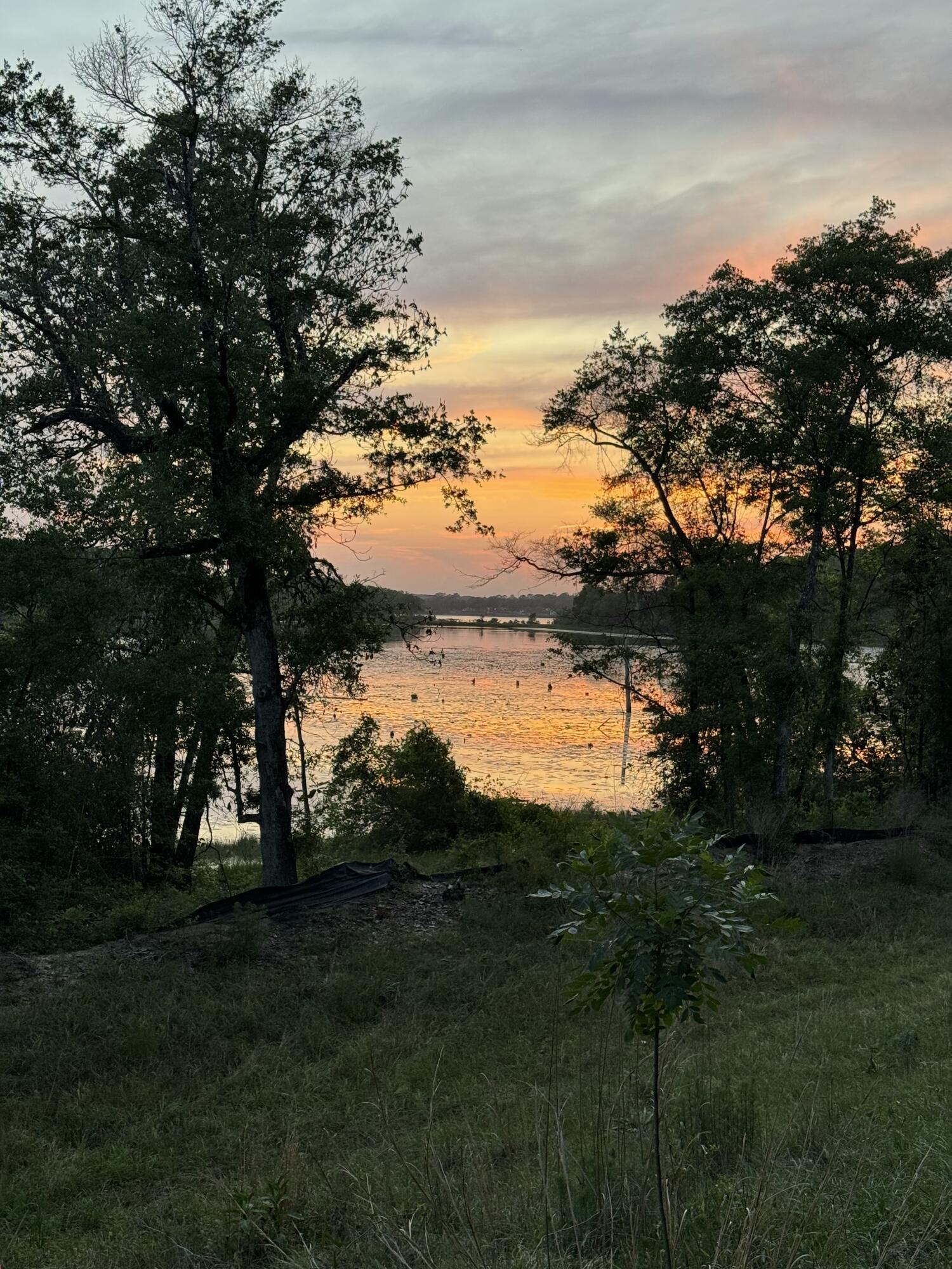SEACOAST ESTATES - Land