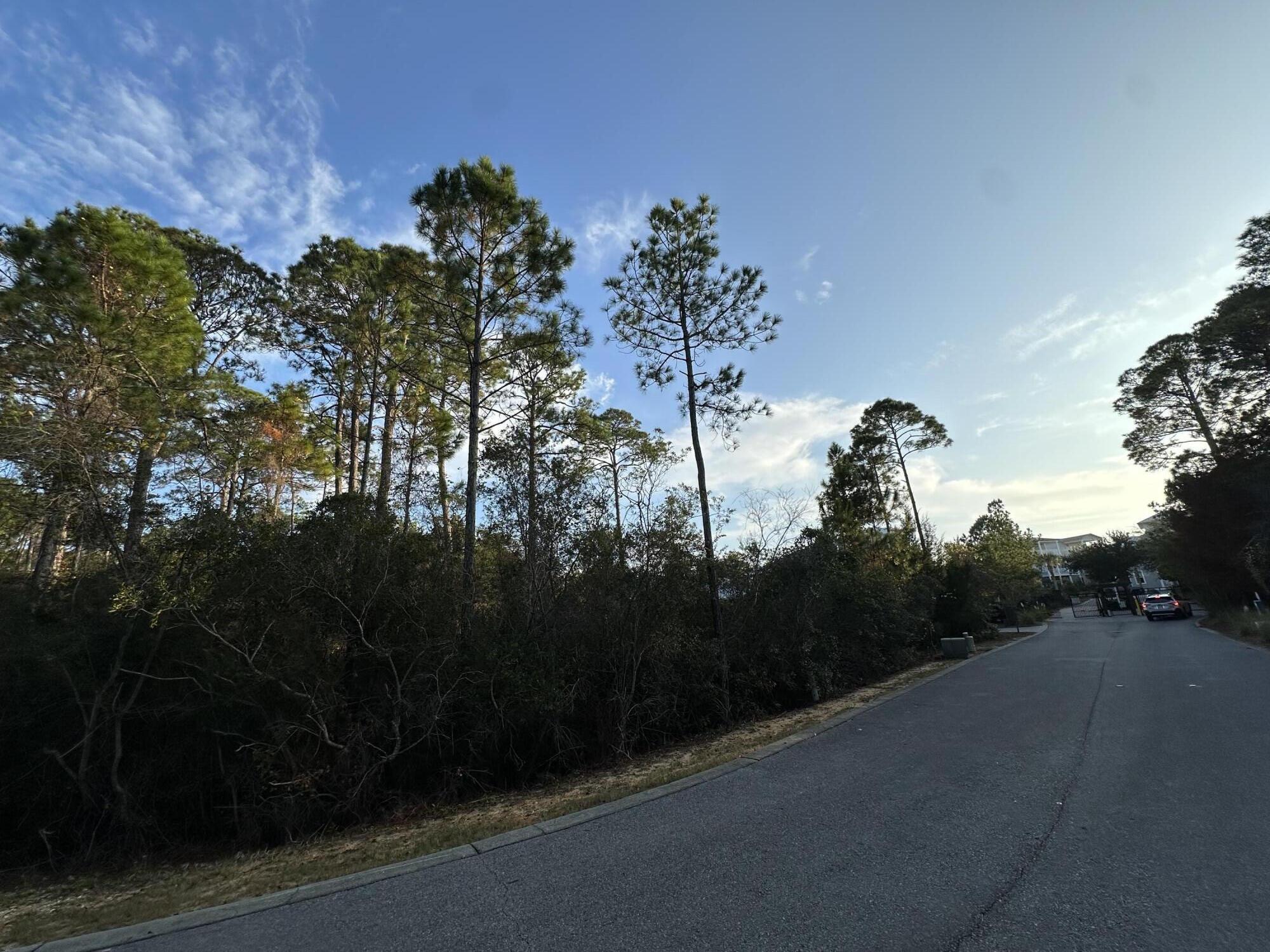 TREETOP - Land