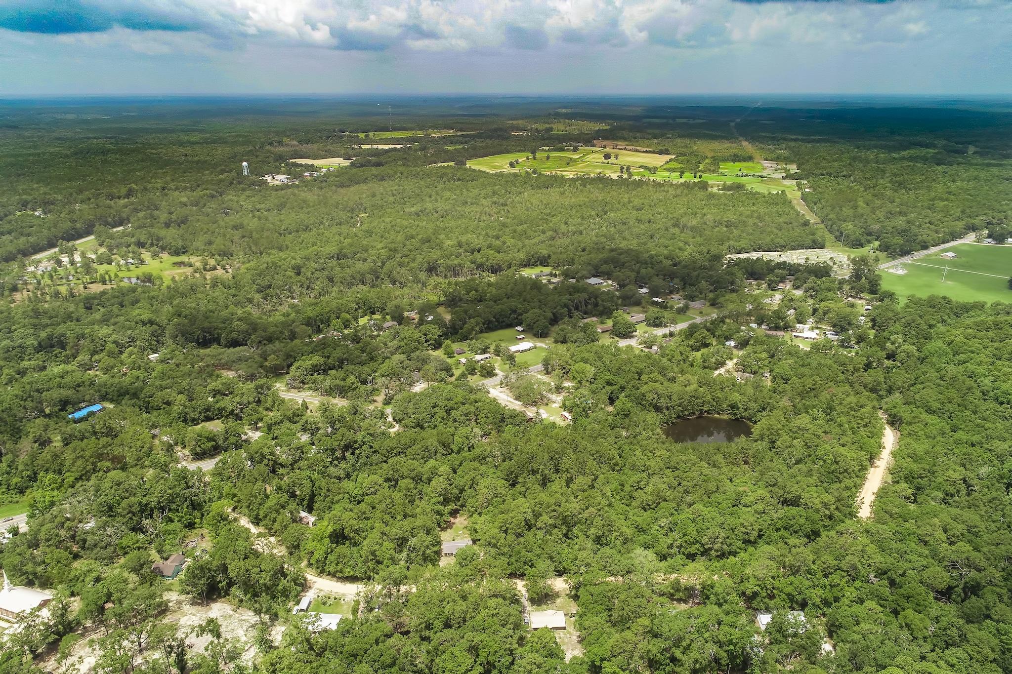 Have you been searching for the perfect homesite to build your new home in Ponce De Leon? This wooded lot in Blue Creek Estates offers a peaceful, private setting just minutes from I-10, combining the convenience of easy access with the tranquility of a secluded community...all with no HOA.

Designed for traditional residential construction, mobile and modular homes are not permitted, helping preserve the character and long-term value of the neighborhood.

Whether you're dreaming of a quiet retreat, a full-time residence, or a place to create something truly your own, this location provides the space and setting to bring it to life.

As always, buyers are encouraged to verify all items deemed important, including acreage, lot dimensions, and taxes.
