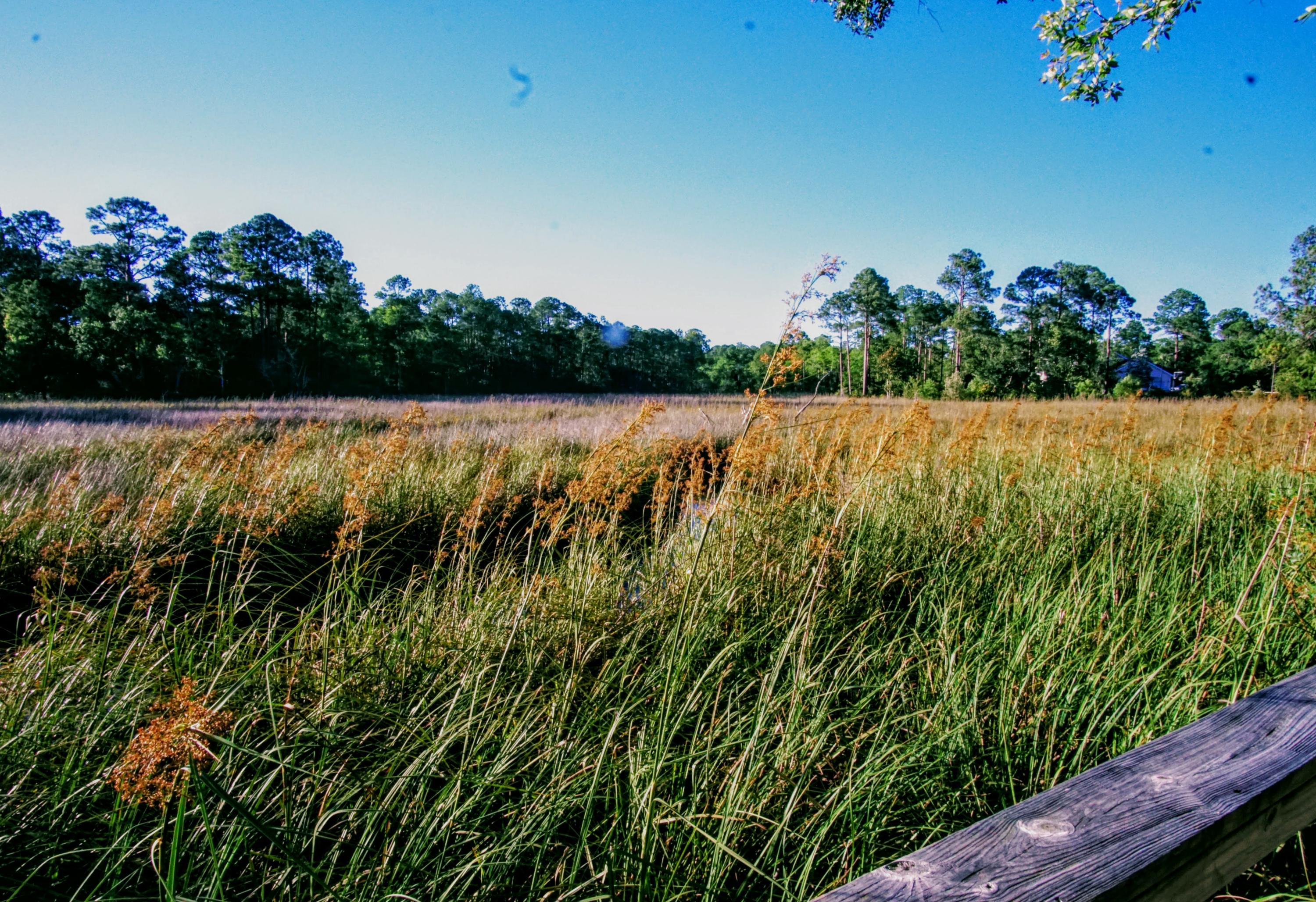 BAY HARBOUR - Land