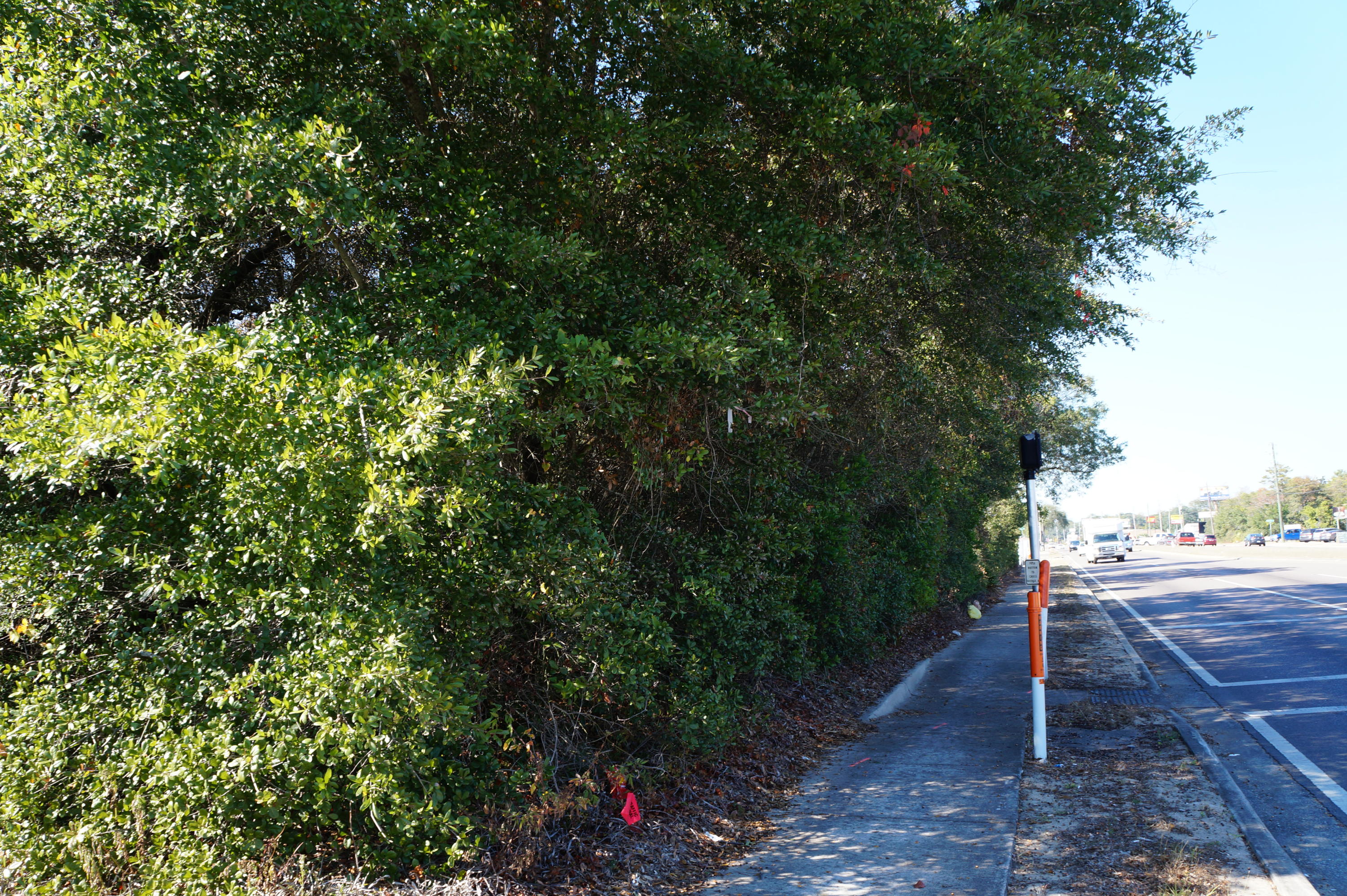 LOCATION! LOCATION! Rectangular Piece of Land that is actually 4 Lots Undivided (per seller). Wooded. Very few opportunities like this. Great Visibility for Your Business!