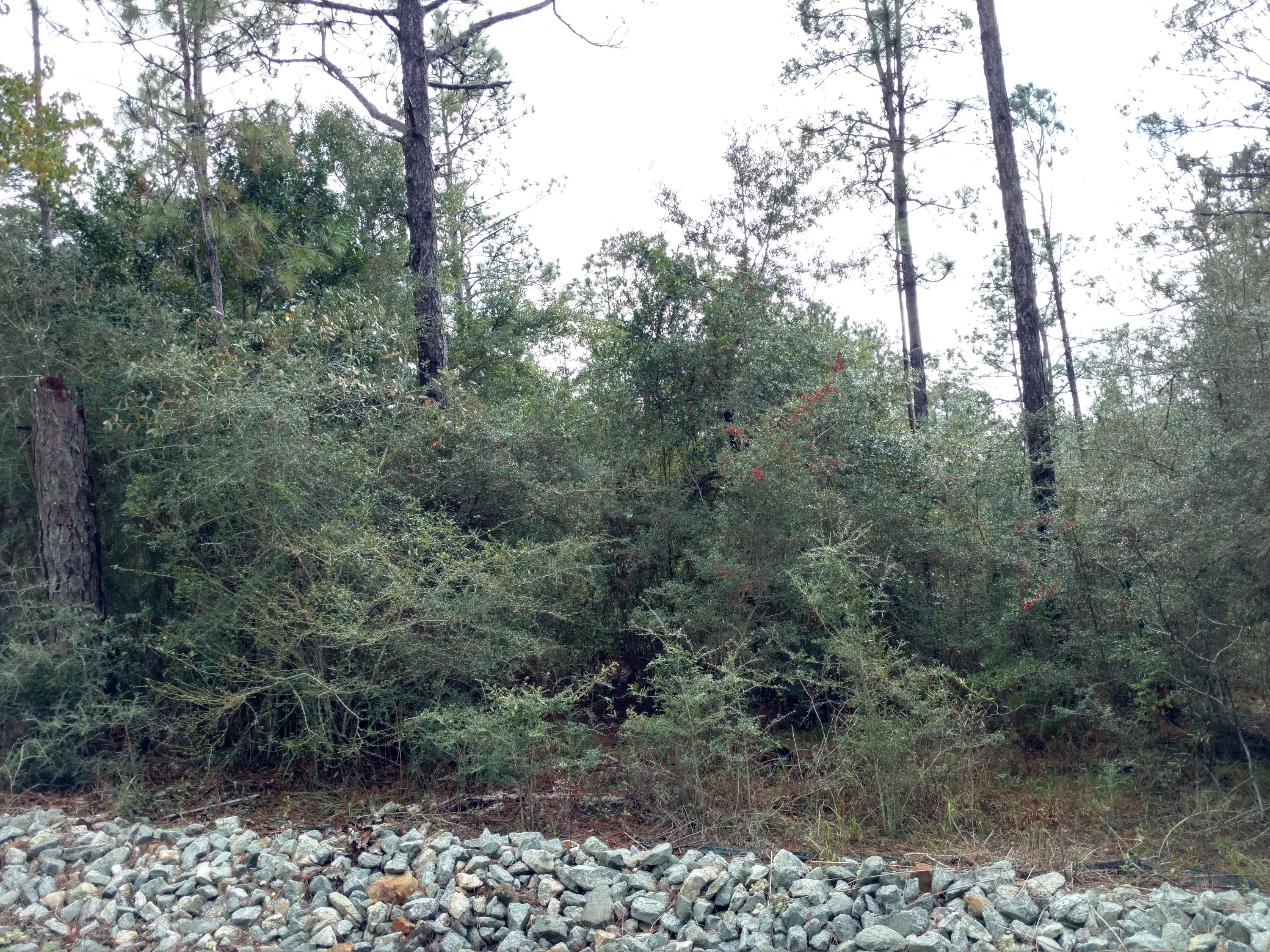 Beautiful lot located on the water with large part of lot overlooking lake.
Good location close to Elementary school and the Walton County industrail park with Truck stop, Fedex, Rv Sales, and Truck and Tire sales.
Not to far from either Crestview, Niceville and Defuniak Springs.