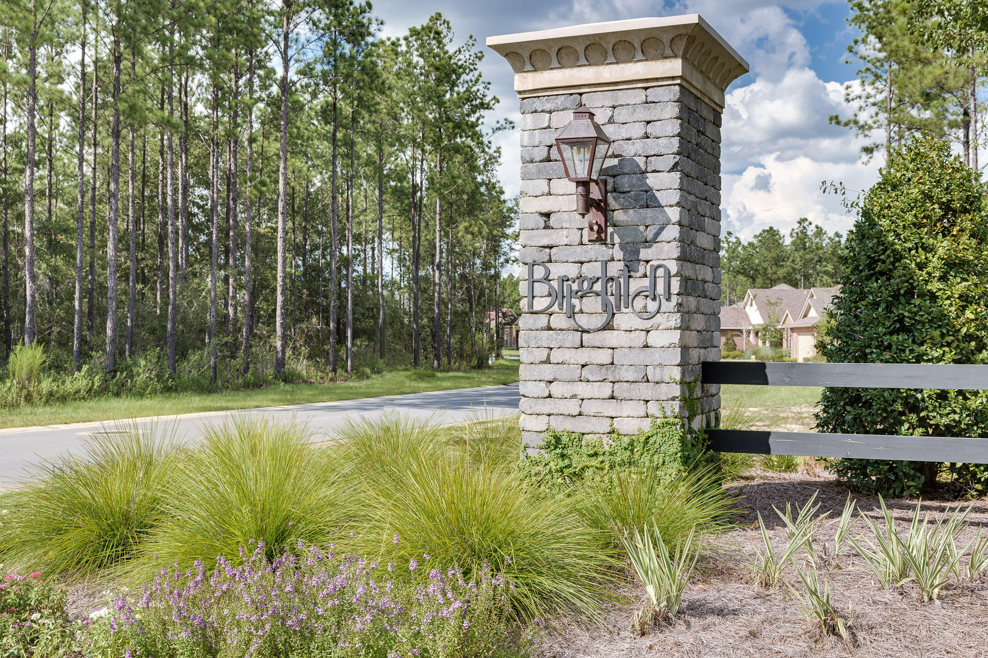HAMMOCK BAY - Land