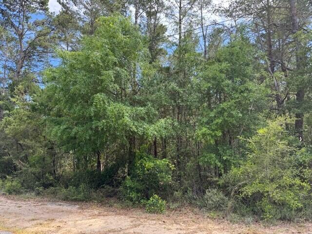 WHISPERING PINES - Land