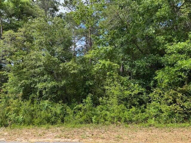 WHISPERING PINES - Land