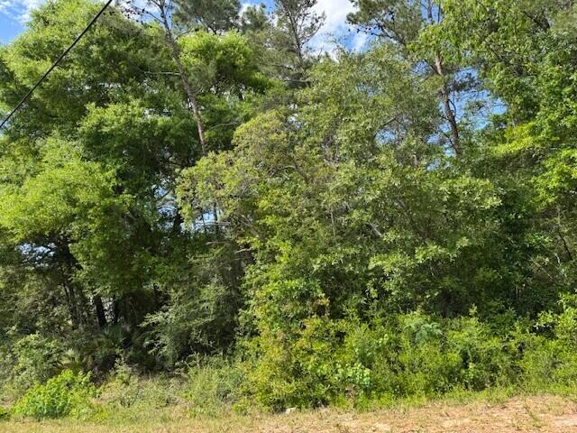 WHISPERING PINES - Land