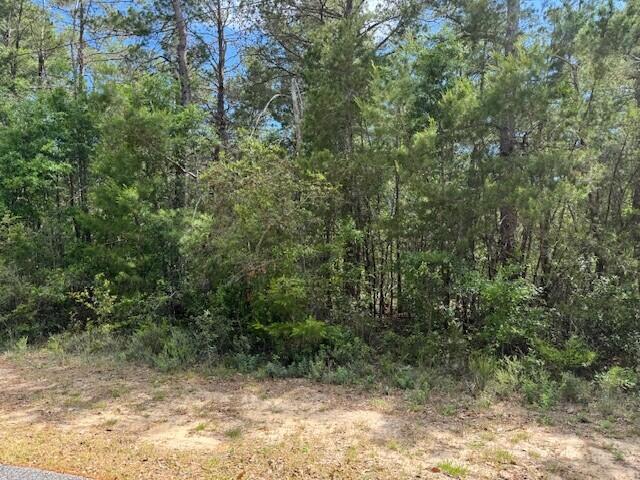 WHISPERING PINES - Land