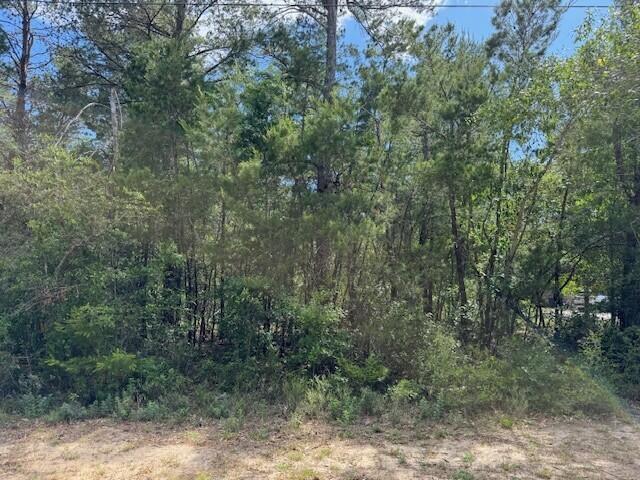 WHISPERING PINES - Land