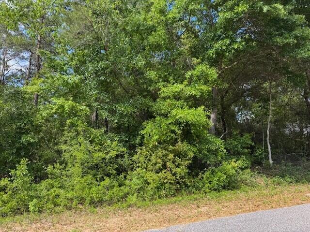 WHISPERING PINES - Land