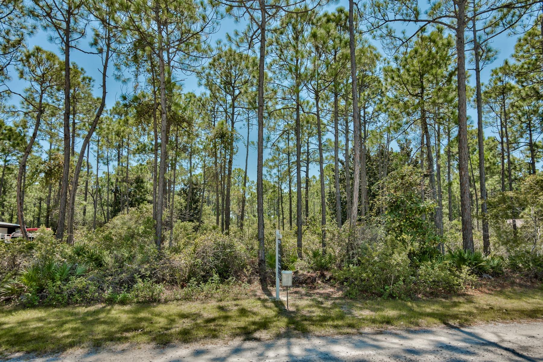 THOMPSON PLANTATION - Land
