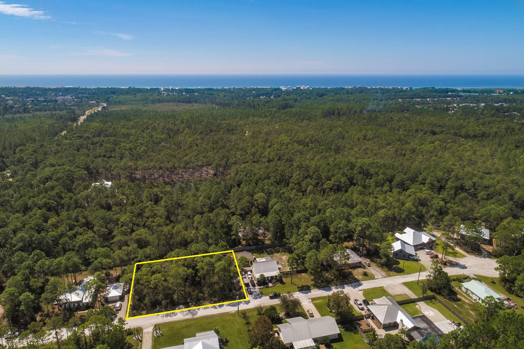 THOMPSON PLANTATION - Land