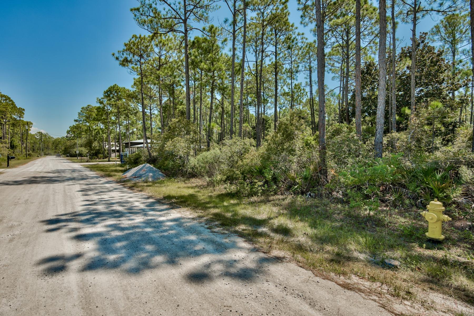 THOMPSON PLANTATION - Land