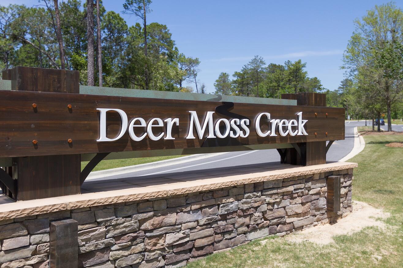 Deer Moss Creek - Land