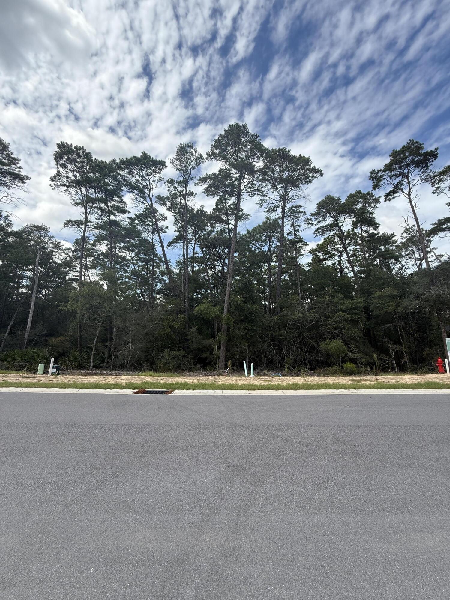 Welcome to Deer Moss Creek's newest Phase 11. Lot 12 is perfectly positioned on a perimeter lot for added privacy.  Other DMC Phase 11 lots may be available for purchase as well, call me, Crystal Tingle 850-218-4618, for more info on these. Deer Moss Creek® is an 1,100- acre, master-planned, mixed-use community in Niceville, FL. Community plans include a nature trail, bike lanes, parks, pools, office and retail space. Sidewalks are 5' wide and home plans must be approved by the Town Architect. Build your dream home in the beautiful Deer Moss Creek community!