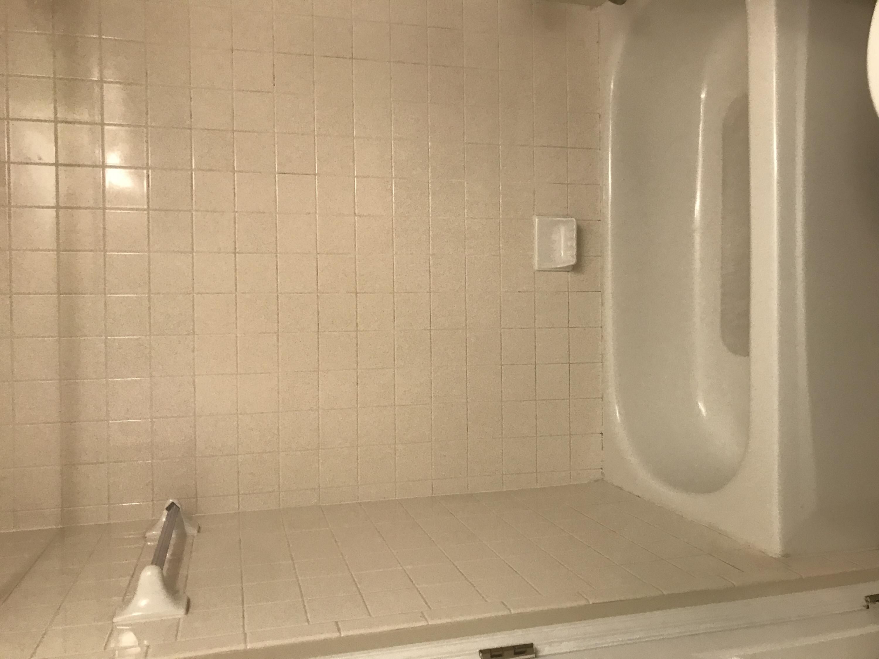 POINTE OF VIEW CONDO - Residential Lease