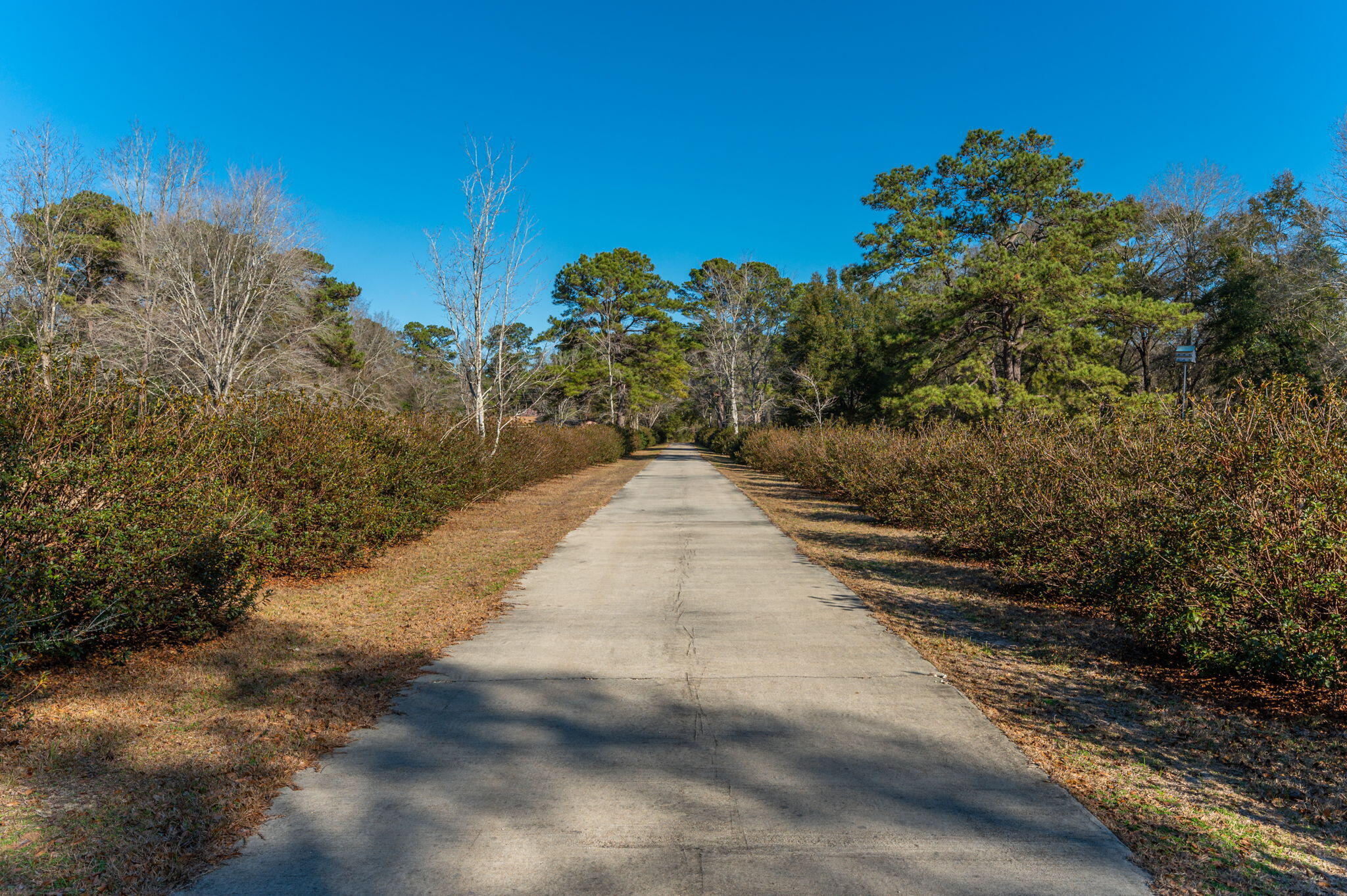 CRESTVIEW SUBURB (231000.00) - Residential