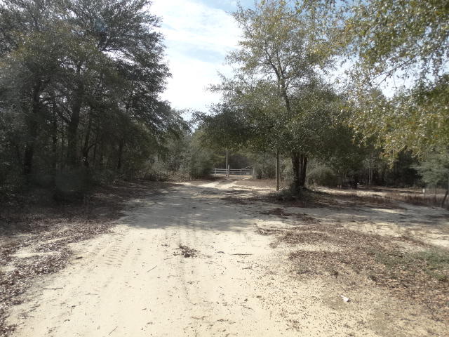 MARE CREEK FARMS - Residential Lease