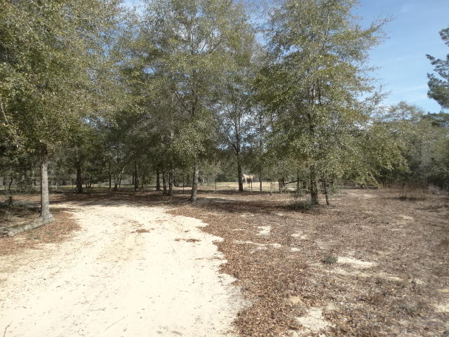 MARE CREEK FARMS - Residential Lease
