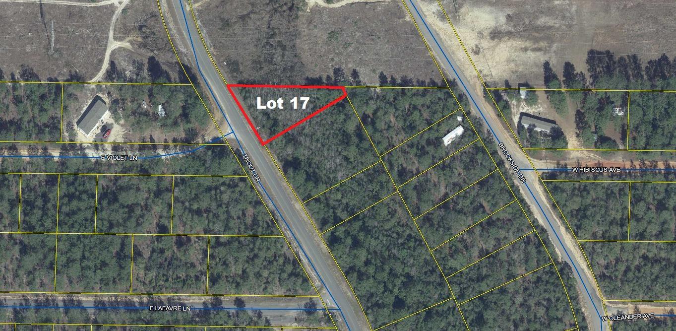 Apx. 1/3 acre ac lot on paved road.  Great location in growing Mossy Head. Mobile/manufactured homes allowed. Public water is available through Mossy Head Water Works (tap fee not paid); Power available on street; Septic would be required.