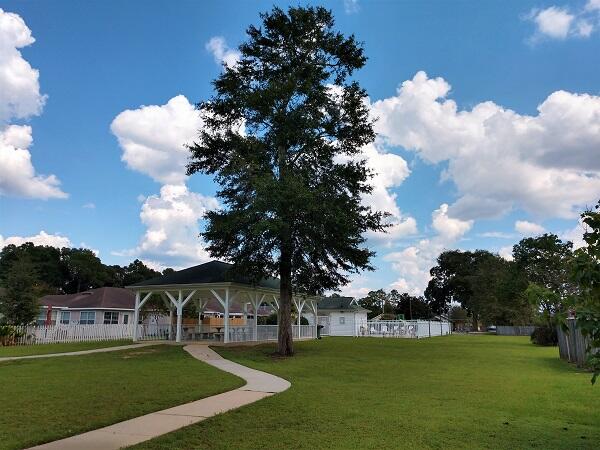 PINE FOREST ROYALE - Residential Lease