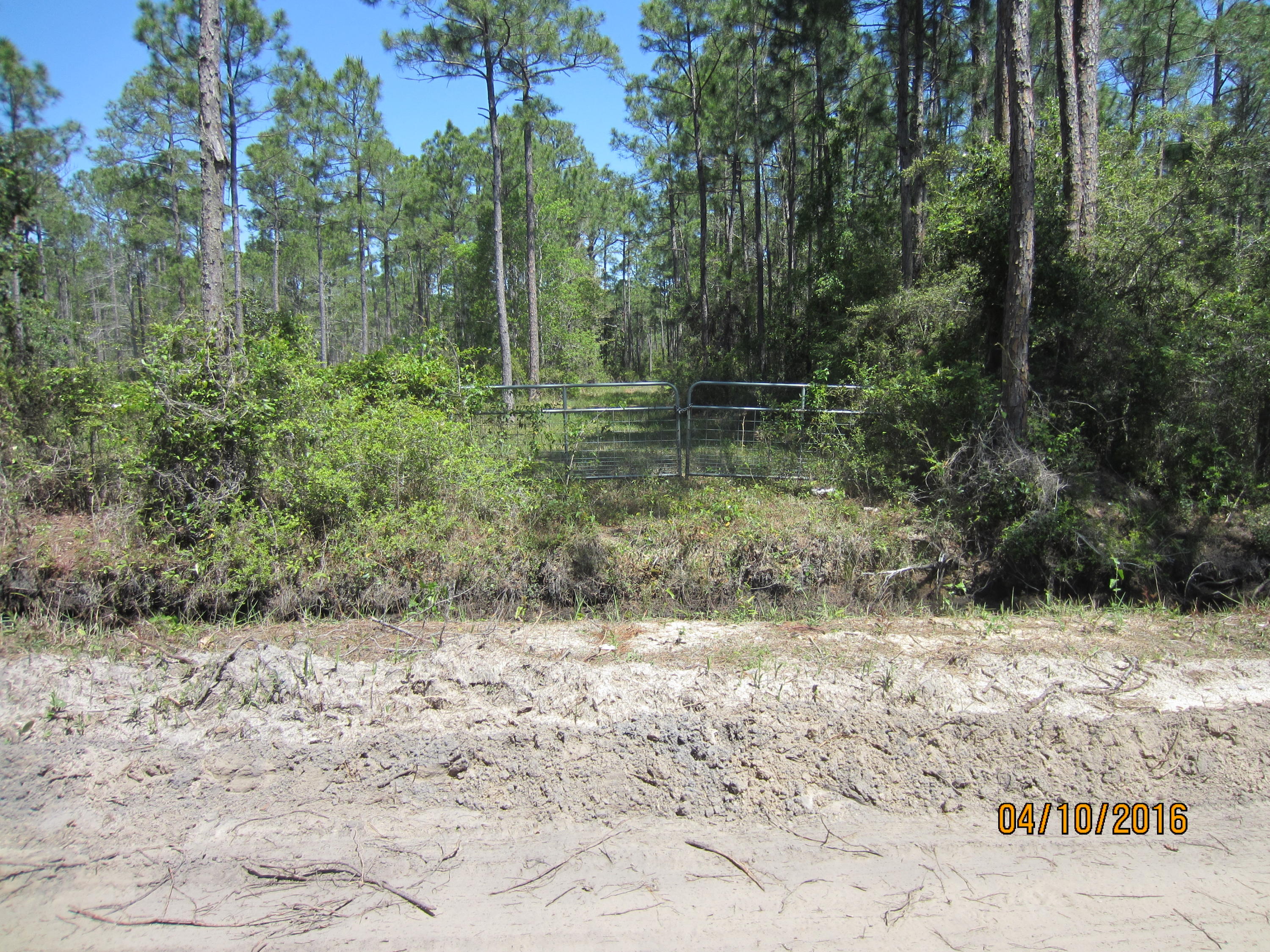 Four Acres with a building site approved by DEP and Walton County that is 120x90.
There are ''wetlands'' on much of the remainder. There is a Walton County Mosquito Control Ditch on the South Side of the property. The owner has applied for a culvert permit to access the property from Gator Lane. The property is fenced on three sides and has a cattle gate on the South side for entry. Excellent homesite with no restrictions for trailers or modular housing etc. Very private and public water and sewer are available. Very nice homes in the immediate area.