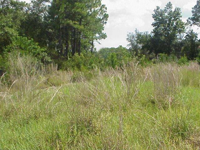 ANTIOCH ESTATES S/D - Land