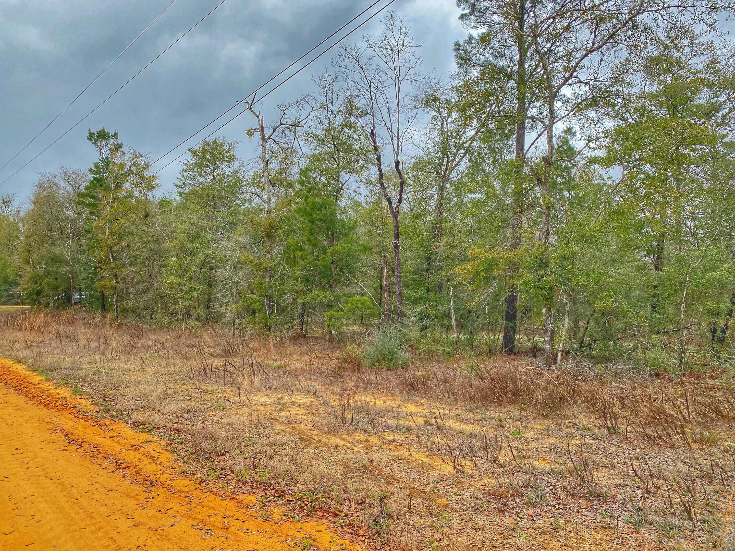 OAKWOOD HILLS UNIT 1 - Land