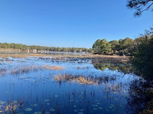 120 FEET OF WATERFRONT ON LAKE JUNIPER! This is a generously sized (.77acre) lot on Lake Juniper that is very close to town.  The lot is wooded, including some larger trees, so you can choose how much or how little to clear.  There is DFS City water available at the street (Tap Fee Due). A septic tank would need to be installed. Lake Juniper is one of the largest lakes (620 acres+-) in North Walton County.  It is the ONLY lake in Walton County that is State Maintained, meaning that the State of Florida maintains the dam and the water level.  This lake is flooded timber and makes for excellent fishing, with bass, brim, and crappie in abundance.  Either mobile homes or stick-built homes are permitted. No HOA fees.