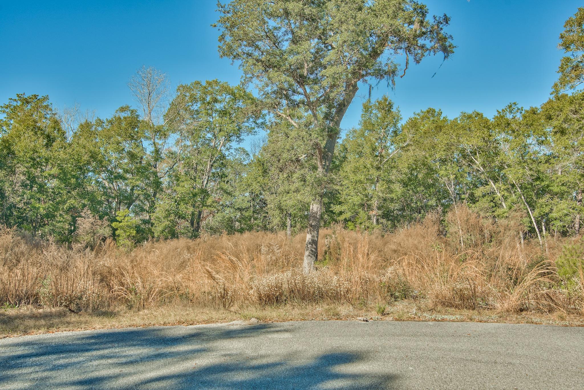 Magnolia Landing - Land