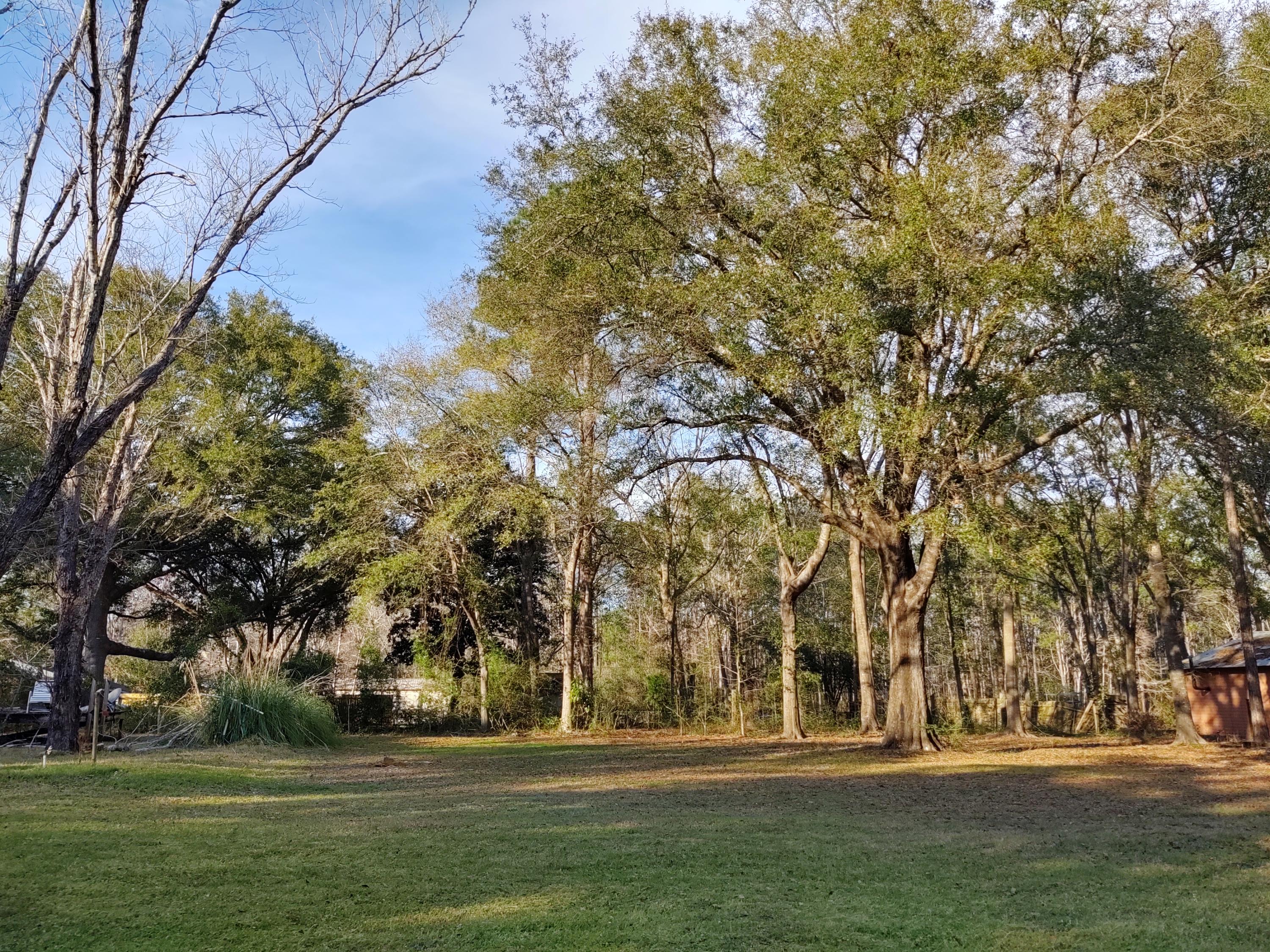 NEW PRICE on Great Lot in CHARLOTTE ESTATES on Black Creek in Freeport! Lot 2 is a cleared, quarter-acre site just a few lots from Black Creek and the Common Area for Charlotte Estates.  Lot is now available for building your primary residence or for your get-a-way cabin. No HOA in place or annual fees. Manufactured homes are allowed. City water is available through the City of Freeport. Common Area has a dock and boat launch for fishing, fun and relaxation on Black Creek. This area is truly a freshwater and saltwater fishing paradise! Many waterways to explore - Black Creek, Choctawhatchee River, the Bays and Bayous.
Freeport is growing. These lots are getting harder to find. Here is your opportunity - don't miss it!!