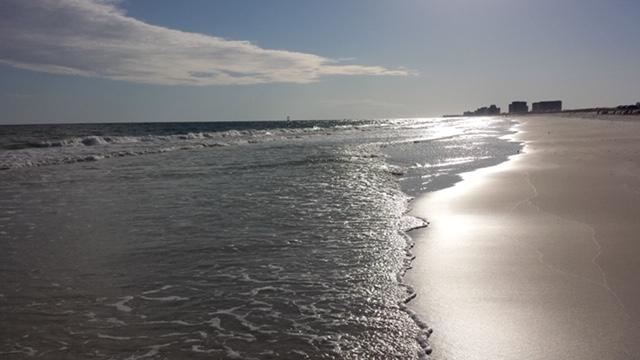 CRYSTAL BEACH - Residential Lease