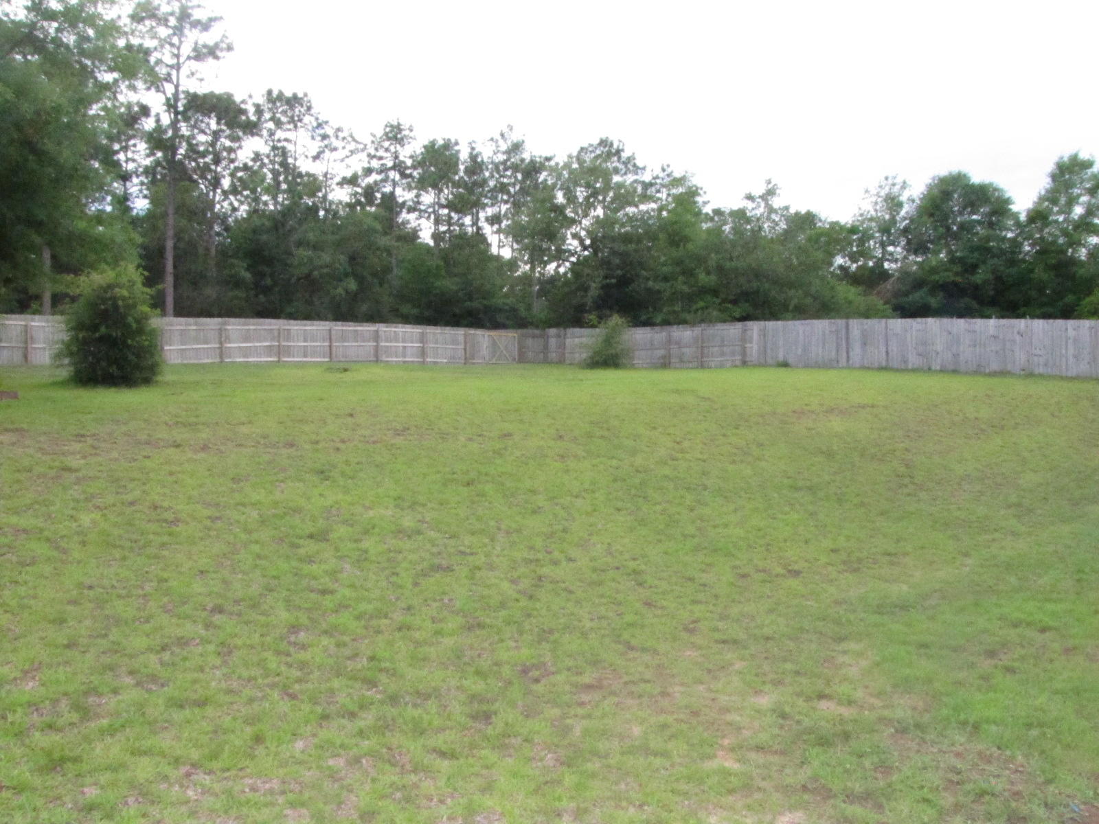 SILVER SPRINGS EST - Residential Lease