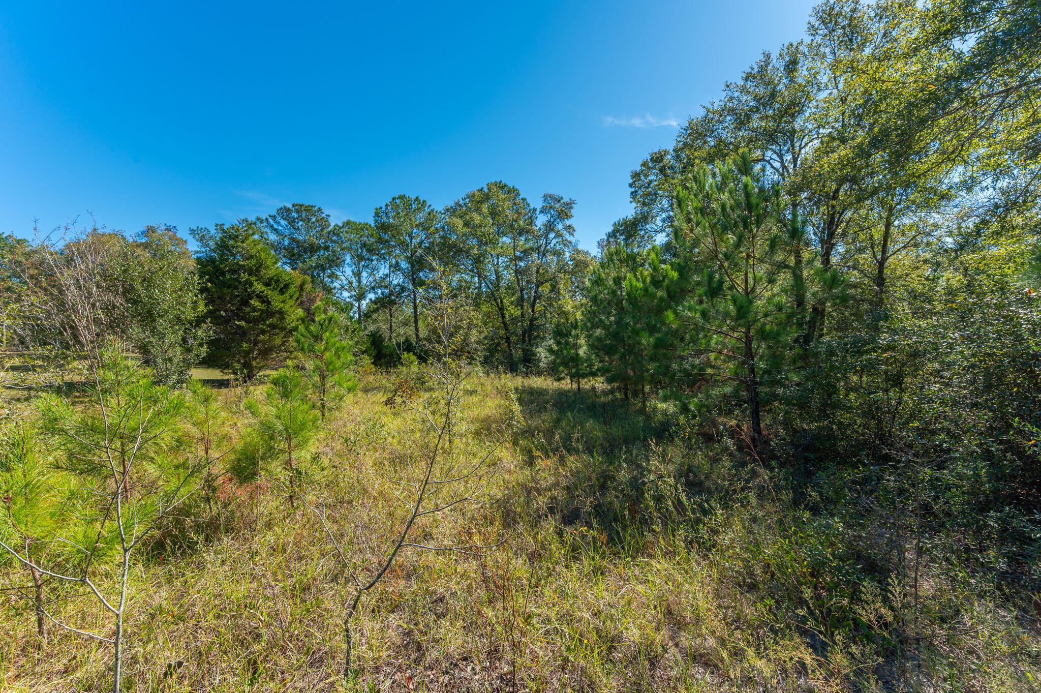 PLEASANT RIDGE ESTATES S/D - Land