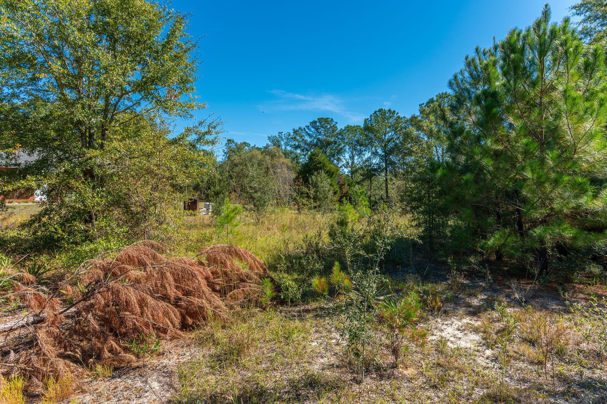 PLEASANT RIDGE ESTATES S/D - Land