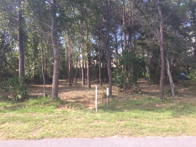 Beautiful, lot with nice high and dry features, see survey. All utilities are available.