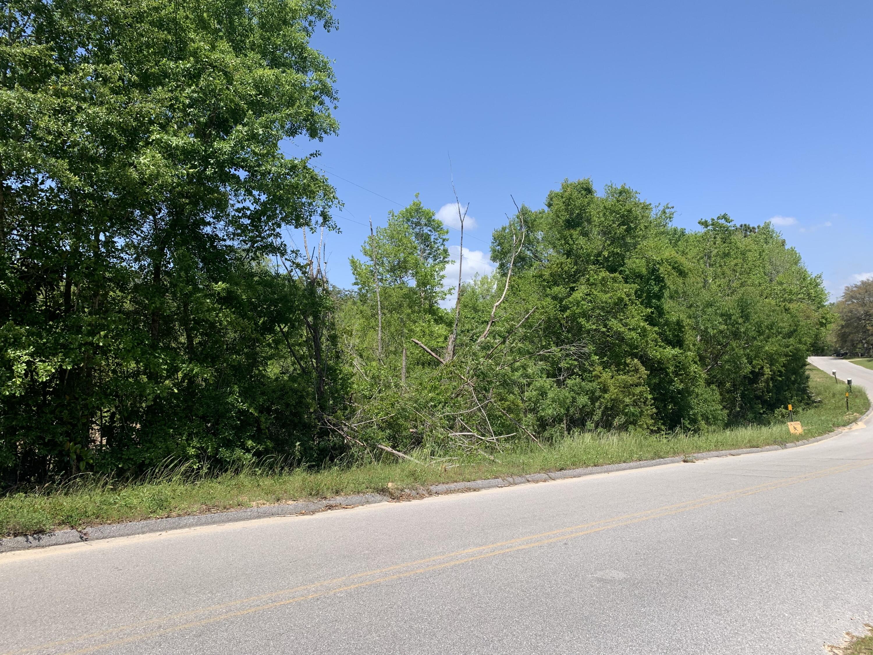 This lot has a view of the Creek Meander which has no boating access it is just private and you have no one behind you also it is a corner lot so only one neighbor.  Paved road to lot.  Northbay water,  septic is required at this time.  Waste Management and Cox are available.  Close by are Eglin trails to use by Eglin rules of course.  Call listing agent for any questions.  Property had no survey as of yet.