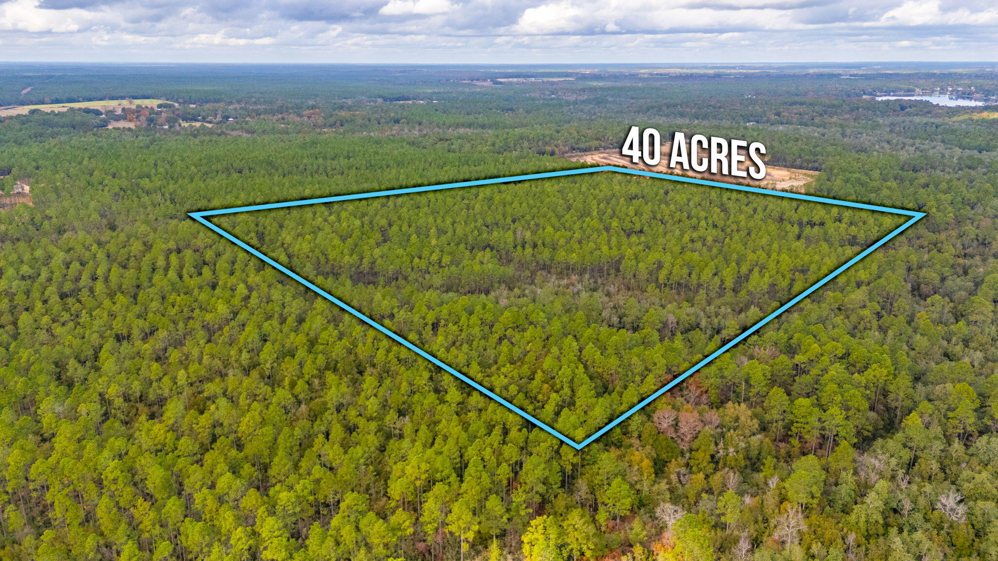 Discover your slice of natural paradise where 40 pristine acres await your vision. This remarkable property presents a perfect blend of possibility and privacy, featuring around 34.5 acres timber and 5.5 acres of hard wood. Whether you're dreaming of a cozy hunting retreat or planning your forever home, this canvas is ready for your masterpiece.

Don't miss this opportunity to own a remarkable piece of Florida's landscape.

****DO NOT GO ON PROPERTY WITHOUT APPOINTMENT - IT IS HUNTING SEASON!