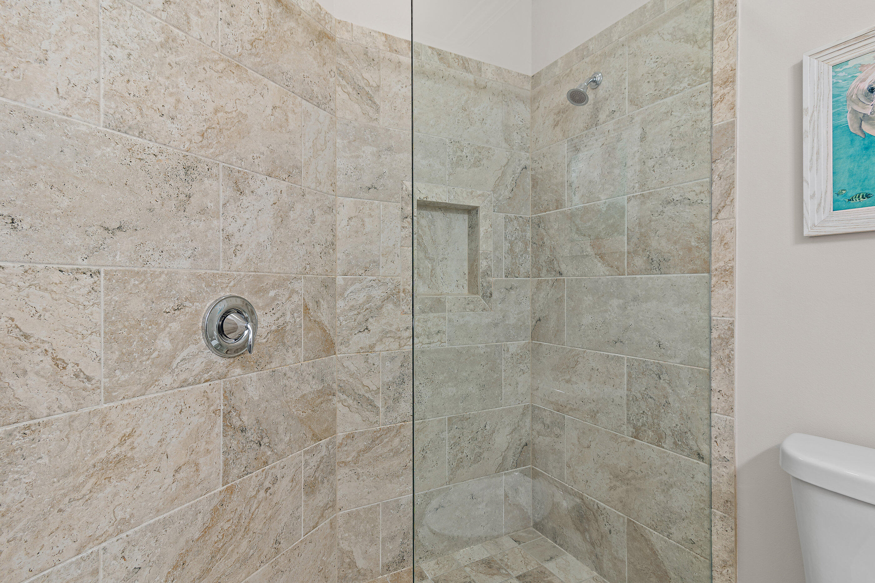 Driftwood Drive Townhomes - Residential