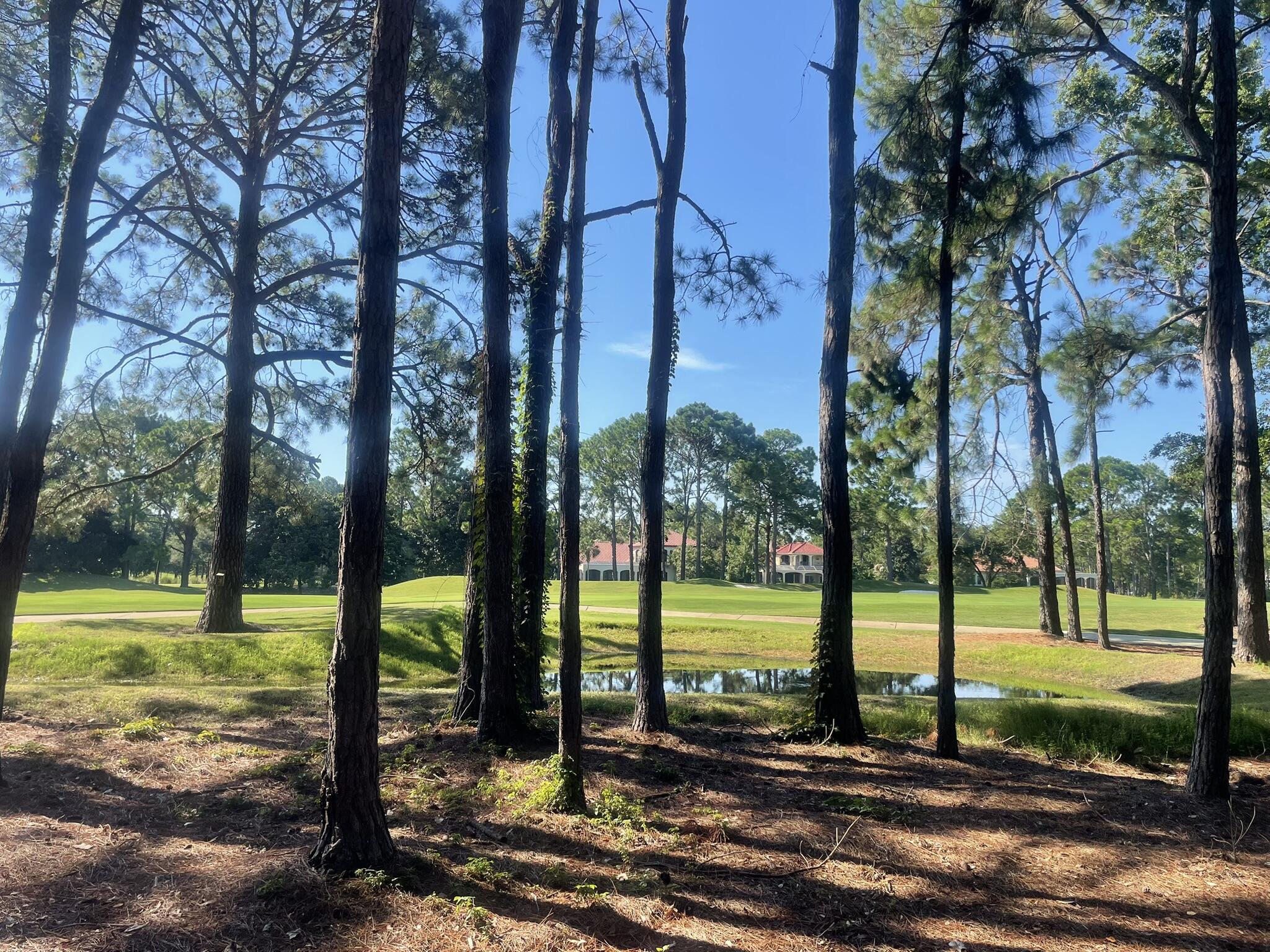 BURNT PINE - Land