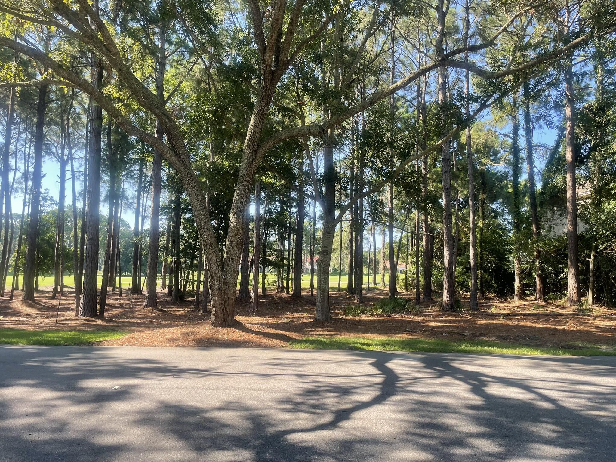 Welcome to your dream home site in the prestigious gated community of Burnt Pine within the renowned Sandestin Golf and Beach Resort! This newly established vacant lot spans 0.28 acres and offers breathtaking views of the 18th hole of the Burnt Pine Golf Course. Developer would consider selling additional land, approx 40 feet east, to expand the lot. Buyer would go through plat and permit process with Walton County. Situated on Burnt Pine Lane, with easy access to the entrance of the golf course, this lot is perfect for golf enthusiasts and nature lovers alike. Enjoy the security and privacy of Burnt Pine, an exclusive enclave known for its upscale homes and lush surroundings. As part of the Sandestin Golf and Beach Resort, residents have access to world-class amenities, including championship golf courses, tennis courts, a marina, fine dining, shopping, and pristine beaches. With water, sewer, and electricity available at the lot, site is ready for your custom home build. Burnt Pine HOA ensures the community remains beautifully maintained and secure. Build your legacy in Burnt Pine and experience the unparalleled lifestyle that Sandestin Golf and Beach Resort has to offer! As an introduction to the Sandestin lifestyle, we invite our new owners to explore amenities that make Sandestin special. The listing brokerage and seller(s) are presenting the buyer(s) of this property with (2) 90-minute rounds of Tennis court time, a golf foursome at one of our three championship courses, and a round of golf for up to four (4) players at the unrivaled Burnt Pine Golf Club.

Sandestin Golf and Beach Resort features more than seven miles of beaches and pristine bay front, four championship golf courses, 15 world-class tennis courts, a 226-slip marina, a fitness center, spa and celebrity chef dining. Shop, dine and play at the charming pedestrian village, The Village of Baytowne Wharf and more. Inside the gates of the resort, residents enjoy a balanced lifestyle of high-class living, spanning the 2,400 acres from the beach to the bay. Everything within the gates of the resort is accessible by golf cart or bicycle. The entire resort is interconnected by miles of pedestrian, bike and golf cart paths that weave through groves of live oaks, meandering past natural lagoons, fountains, man-made lakes, and meticulously landscaped fairways.