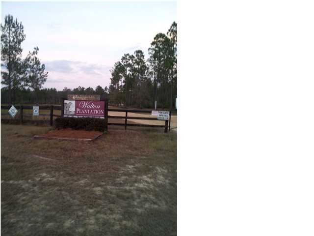 WALTON PLANTATION - Land
