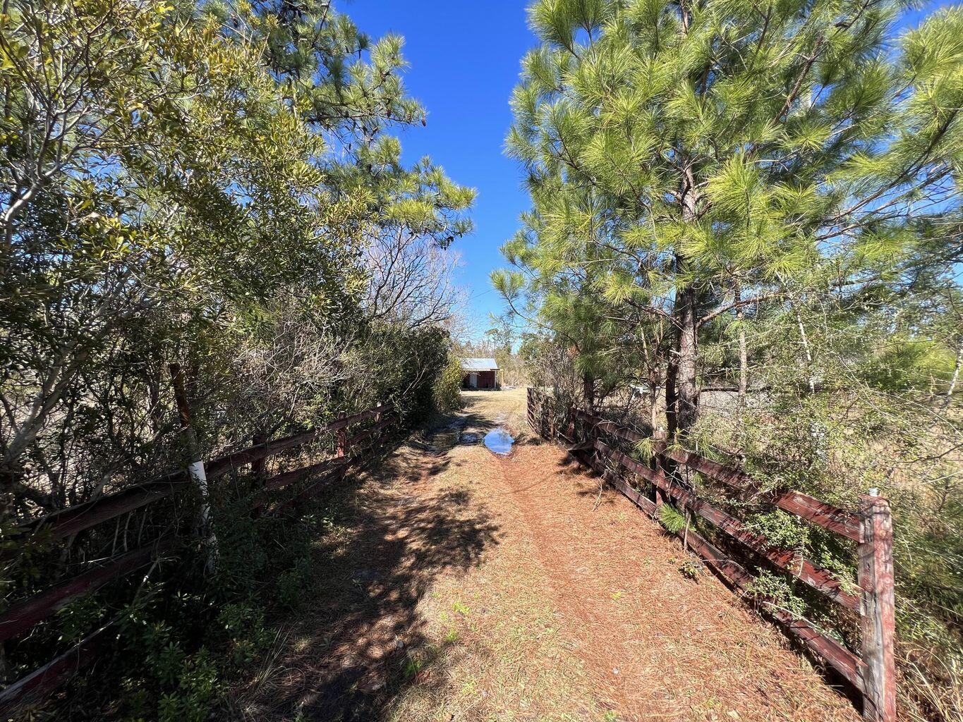 Beautiful partially cleared 14 acres with a small pond and small storage building. Electricity is run to the property and needs a power pole. There is an older well located on the property but seller makes no warranty to condition. Zoned Ag 1, flood zone X and A. Silver Lake road is paved and 2.2 miles from Hwy 231 and approximately 25 miles to Panama City.