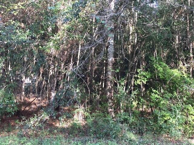 CRESTVIEW SUBURB (231000.00) - Land