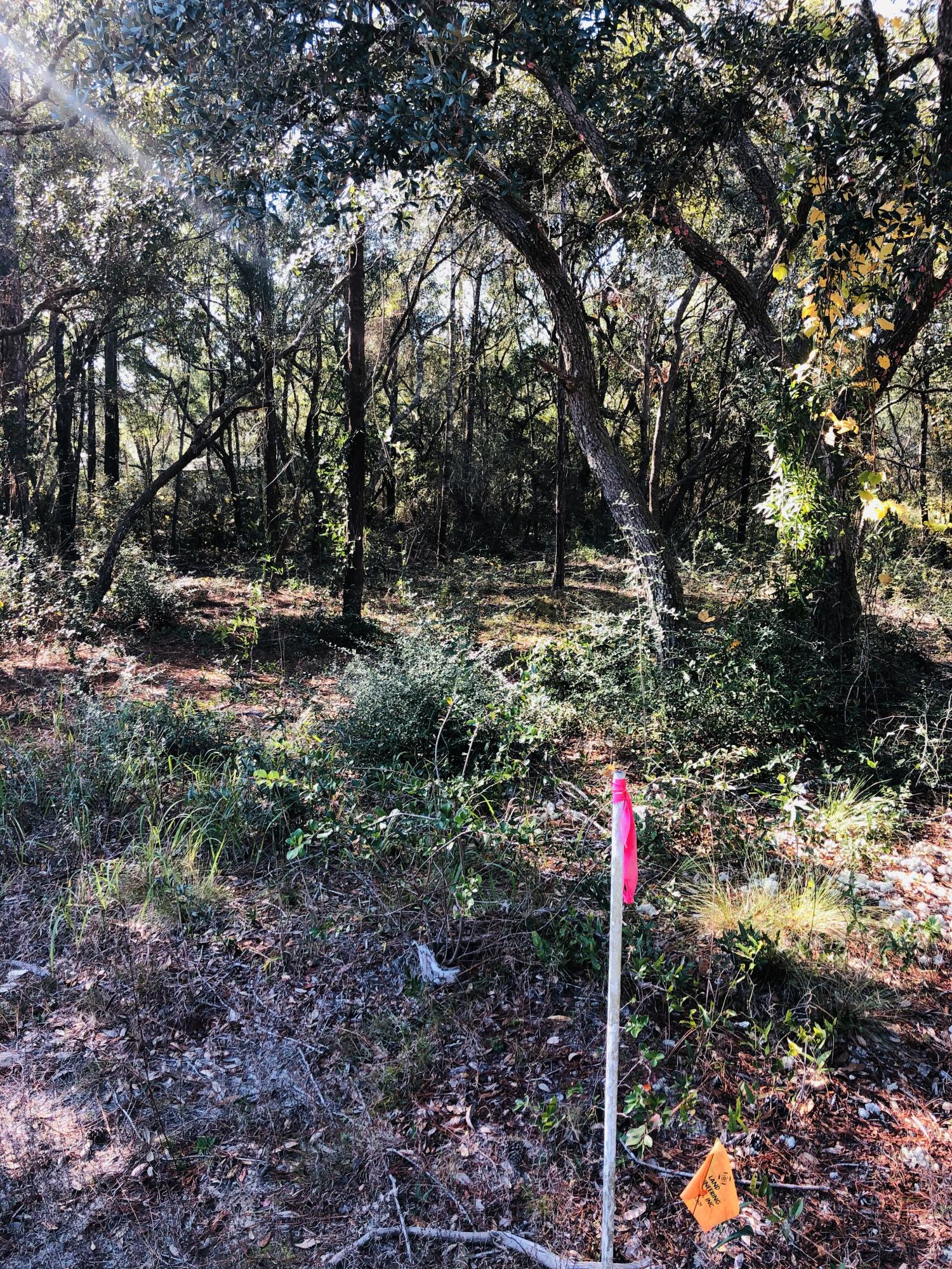 K&L properties unrec
Charolette Estates - Land