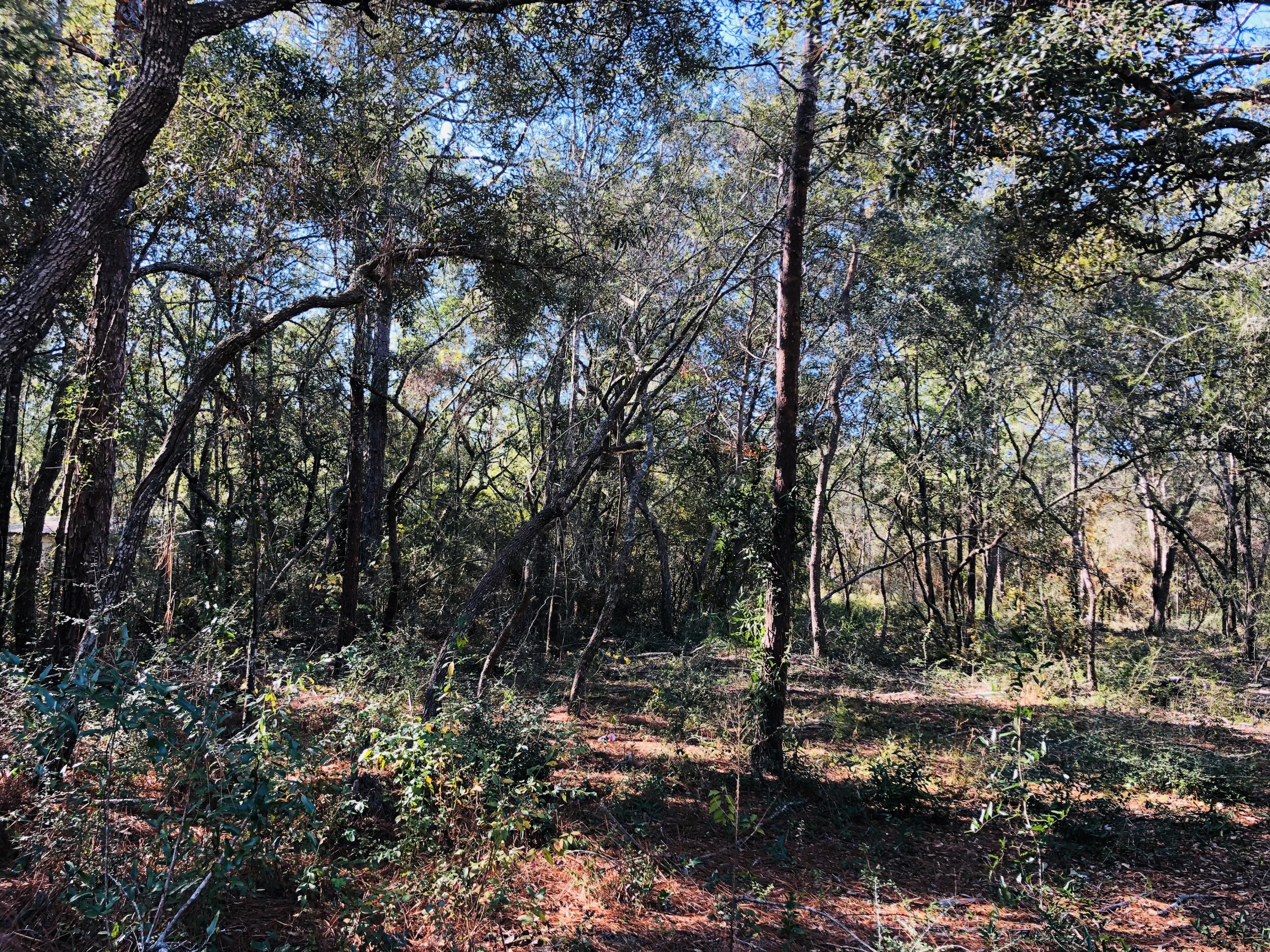 K&L properties unrec
Charolette Estates - Land