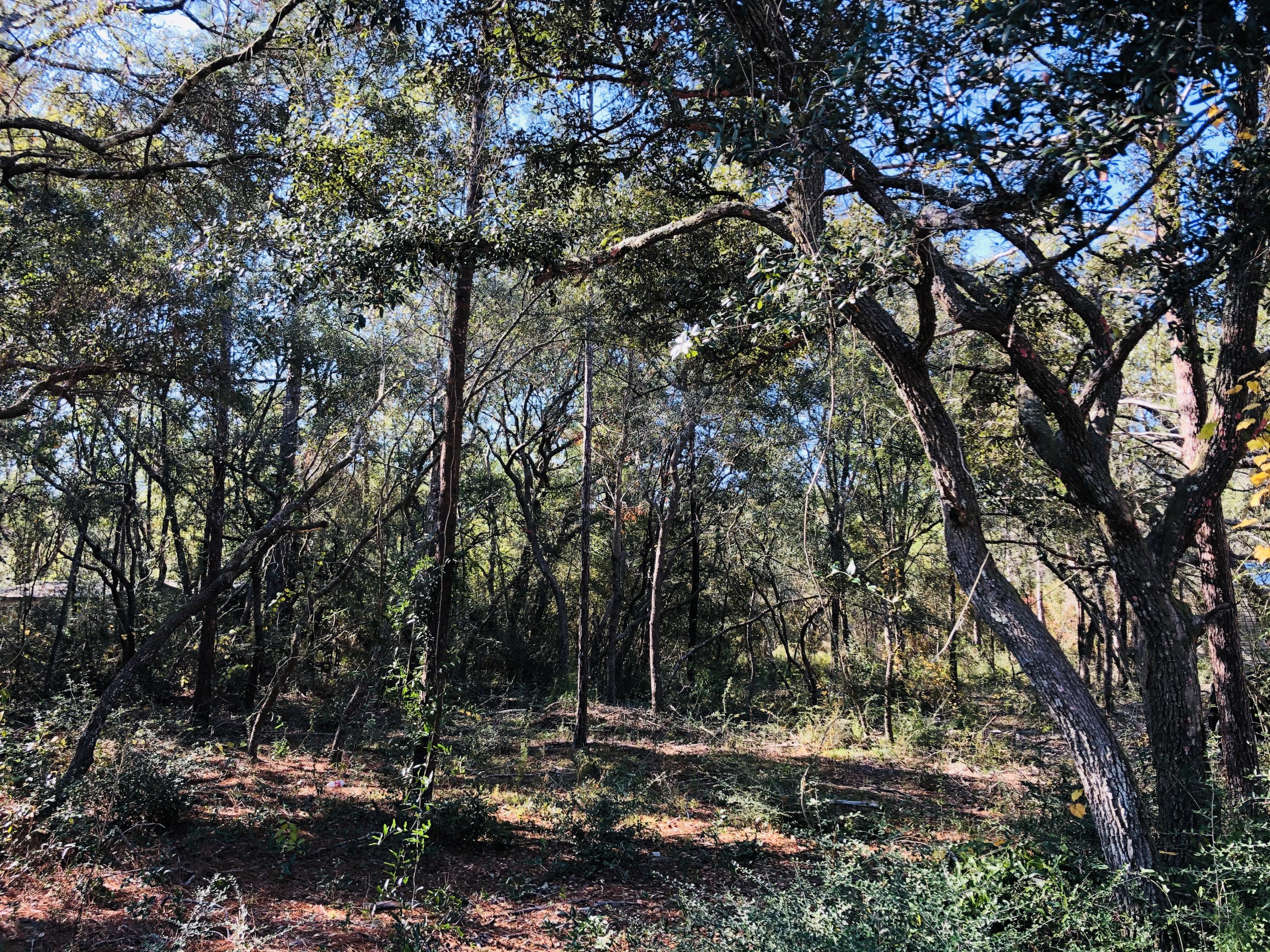 K&L properties unrec
Charolette Estates - Land