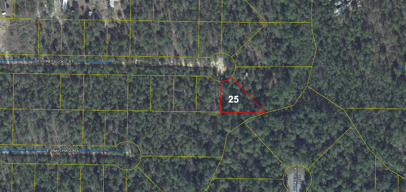 Wooded lot with limited access and available utilities.  The lot is best suited for being 'off the grid'.