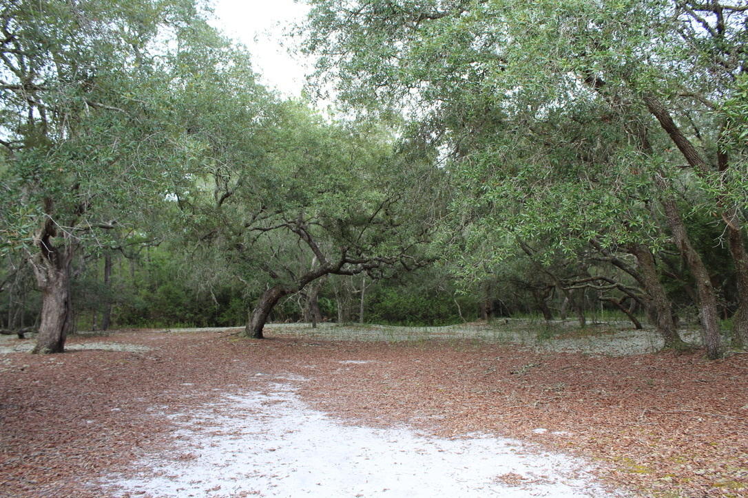 Andrews Lake Fishcamp - Land