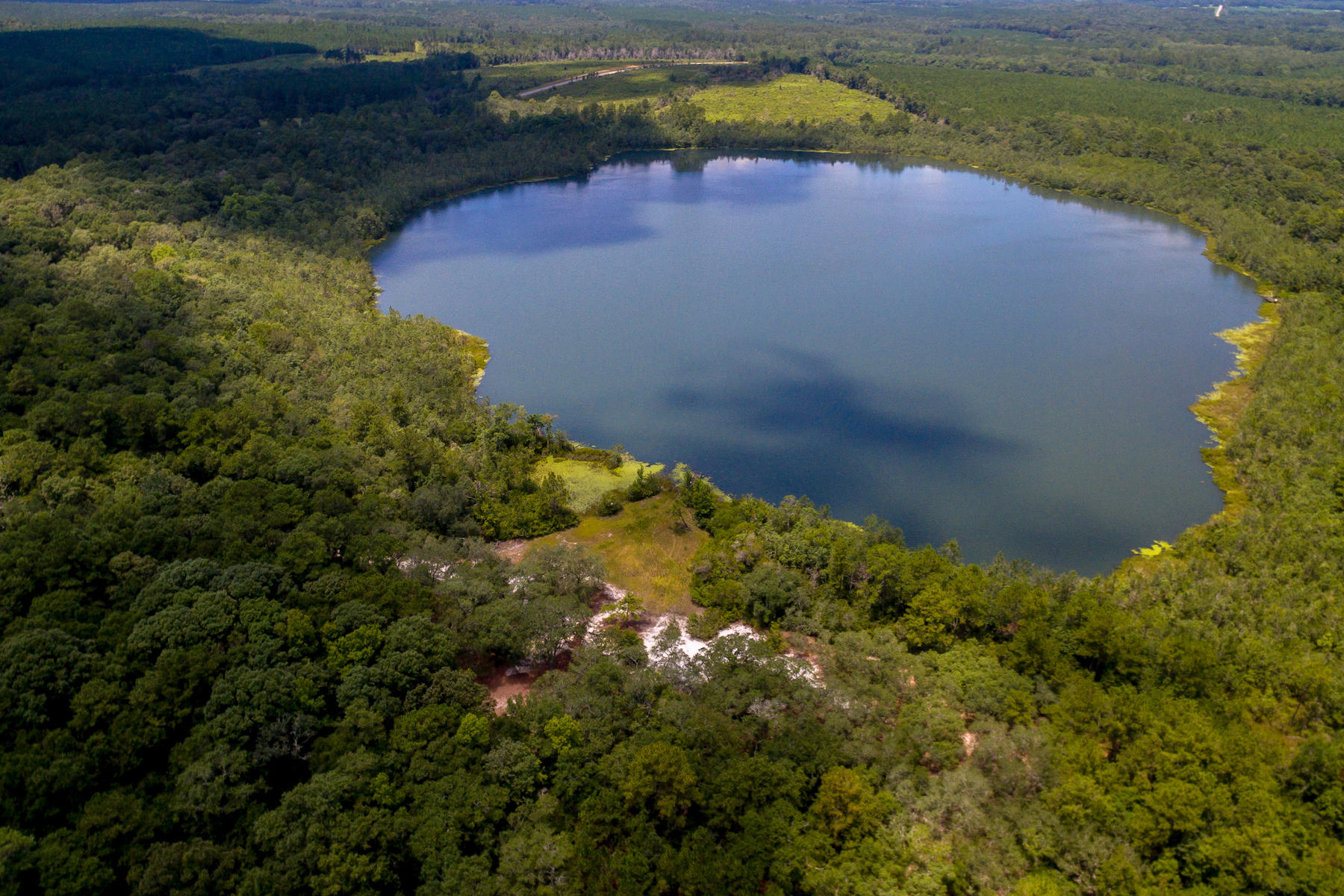 ATTENTION HUNTERS, FISHERMAN AND OUTDOOR ENTHUSIASTS! This is your opportunity to own a waterfront cabin in the woods. Secluded, private and pristine. Outdoor enthusiasts have long considered this property to be one of the finest waterfront properties in Northwest Florida. The cedar sided cabin ( all cedar was cut from the property) was built in 1956 and overlooks Andrews Lake, a natural 50 acre lake full of bass, bream and crappie. Never crowded only one other land owner has access to the lake. This area of NW Florida is famous for big deer, turkey and duck hunting. fish, hunt, swim or just enjoy nature in one of NW Florida's finest outdoor settings. Make sure you click on photo tab to see aerial virtual tour of property. You will love it! Shown by appt. 24 hours notice required.