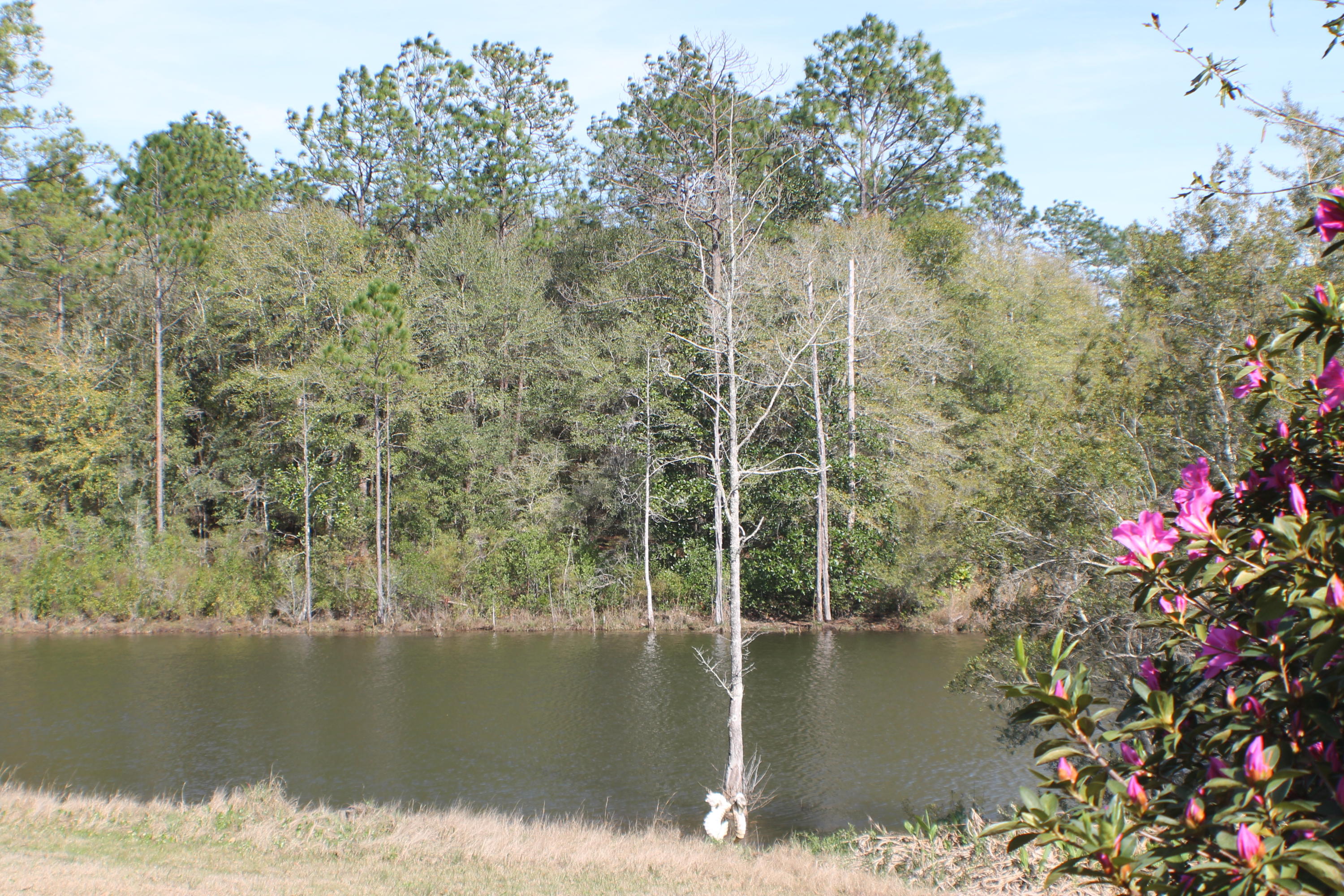 TWIN LAKES ESTATES - Land